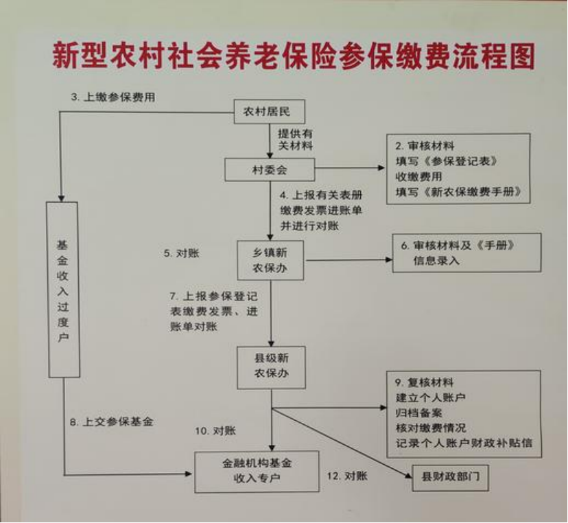 南平农村医保和社保有什么区别(农村医保跟社保的区别)